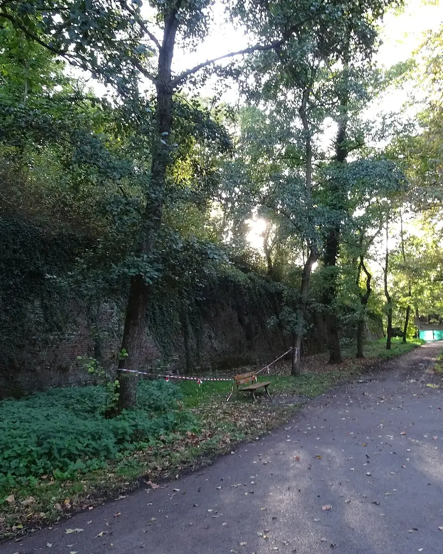 Allée boisée au pied de la citadelle de Lille