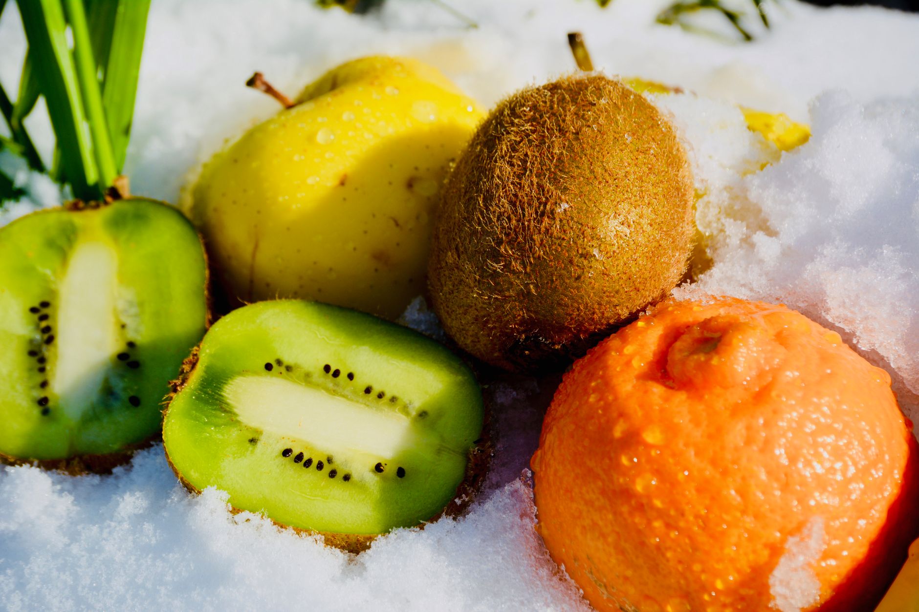 Comment bien se nourrir en hiver pour rester en forme ? Suivez ces conseils