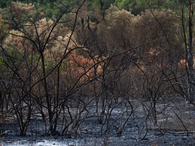 Dès la fin de votre entraînement, découvrez le pouvoir de la thérapie contrastée
